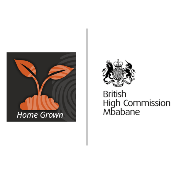 RISE Home Grown British High Commission Projects 